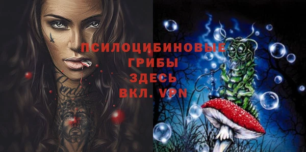 сатива Абинск