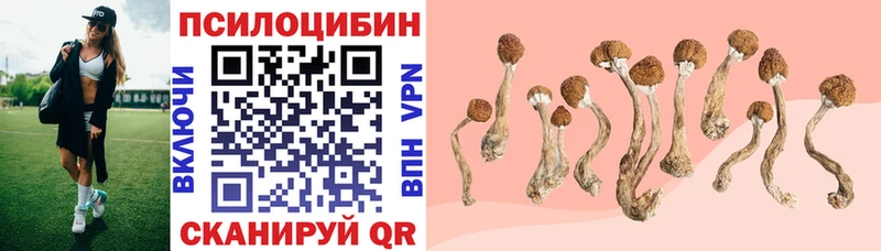 сколько стоит  Чита  Галлюциногенные грибы мухоморы 